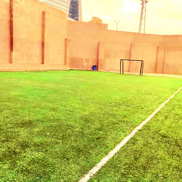 زمین چمن مصنوعی واله